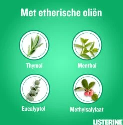 LISTERINE Clean & Fresh, Mondwater Met Essentiële Oliën En Fluoride, Zonder Alcohol, Bereikt De Plaatsen Die De Tandenborstel Mist – Zelfs Tussen De Beugel, 3 X 500 Ml -Verzorgingsproducten Verkoop 1186x1200 8