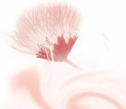 Kneipp Silky Secret - Douchegel -Verzorgingsproducten Verkoop 1200x1033 4