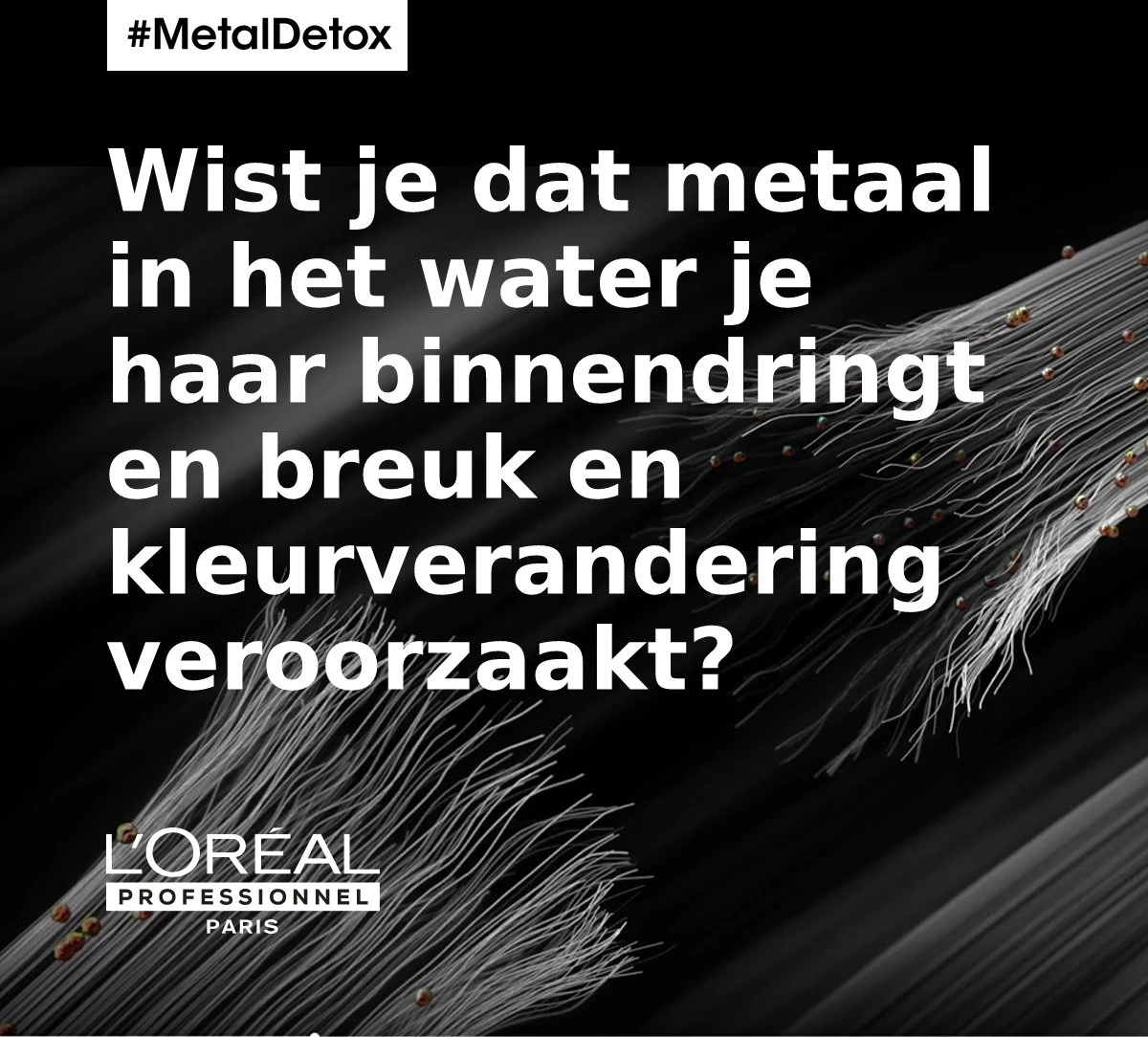 L’Oréal Professionnel Metal Detox Shampoo - Vermindert Haarbreuk Met 87%* – Serie Expert – 300ml 4 L’Oréal Professionnel Metal Detox Shampoo - Vermindert Haarbreuk Met 87%* – Serie Expert – 300ml - Afbeelding 2