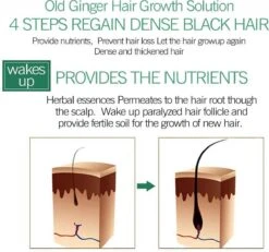 Haarserum 7days | Haarkuur 7daags | Haaruitval Bestrijden | Gember Extracten Voor Stimuleren Haargroei | Haar Olie | Bewezen Formule 15 Haarserum 7days | Haarkuur 7daags | Haaruitval Bestrijden | Gember Extracten Voor Stimuleren Haargroei | Haar Olie | Bewezen Formule -Verzorgingsproducten Verkoop 1200x1120 6