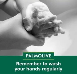 Palmolive® Palmolive Naturals Amandel Handzeep - 4 X 500ml - Voordeelverpakking 15 Palmolive® Palmolive Naturals Amandel Handzeep - 4 X 500ml - Voordeelverpakking -Verzorgingsproducten Verkoop 1200x1160 4