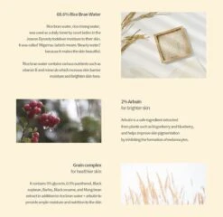 Glow Deep Serum Arbutan + Ricebran Tegen Pigmentatie -Verzorgingsproducten Verkoop 1200x1167 3