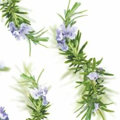 Kneipp New Energy - Douchegel -Verzorgingsproducten Verkoop 1200x1200 1006