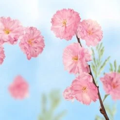 Kneipp Favourite Time - Douchegel 13 Kneipp Favourite Time - Douchegel -Verzorgingsproducten Verkoop 1200x1200 1107