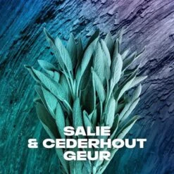 Axe Apollo Anti-transpirant Spray - 6 X 150 Ml - Voordeelverpakking 17 Axe Apollo Anti-transpirant Spray - 6 X 150 Ml - Voordeelverpakking -Verzorgingsproducten Verkoop 1200x1200 1186