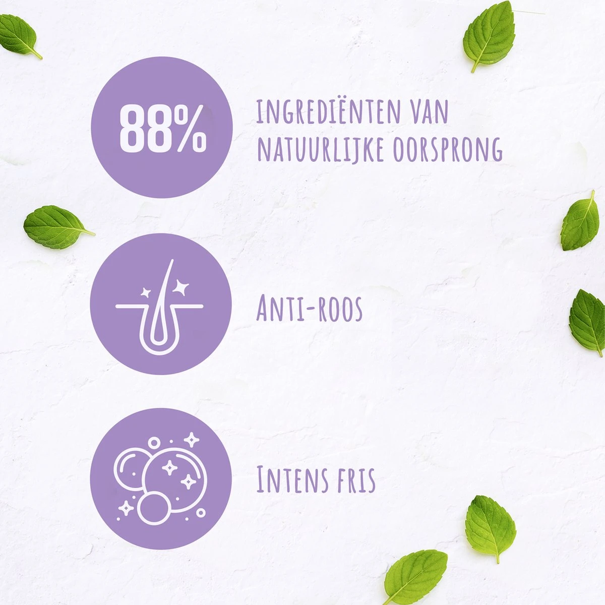 Andrélon Men Anti-Roos & Intens Fris Shampoo - 6 X 300 Ml - Voordeelverpakking 12 Andrélon Men Anti-Roos & Intens Fris Shampoo - 6 X 300 Ml - Voordeelverpakking - Afbeelding 10