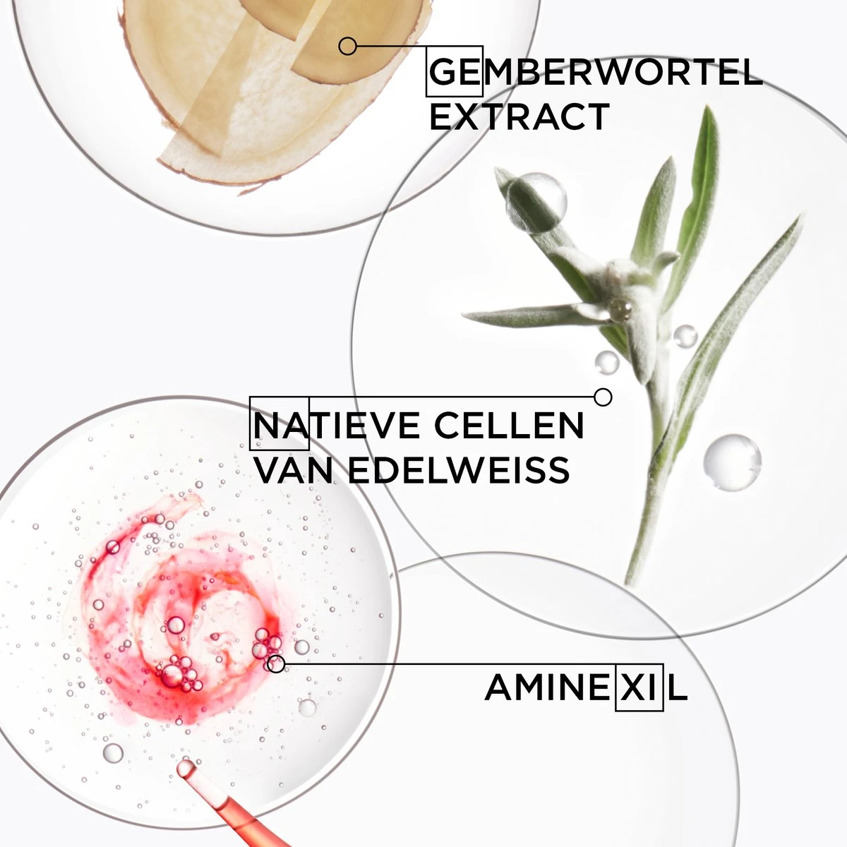 Kérastase Genesis Sérum Anti-Chute Fortifiant - Anti-haaruitval Serum Voor Verzwakt Haar, Gevoelig Voor Haaruitval - 90ml 8 Kérastase Genesis Sérum Anti-Chute Fortifiant - Anti-haaruitval Serum Voor Verzwakt Haar, Gevoelig Voor Haaruitval - 90ml - Afbeelding 6