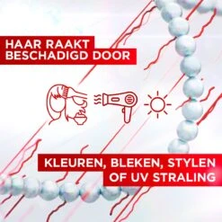 L'Oréal Paris Elvive Bond Repair Shampoo - 200ml -Verzorgingsproducten Verkoop 1200x1200 1514