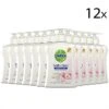 Dettol - Handzeep - Extra Care Gevoelige En Normale Huid - Lotus & Kamille - 250ml X12 1 Dettol - Handzeep - Extra Care Gevoelige En Normale Huid - Lotus & Kamille - 250ml X12 -Verzorgingsproducten Verkoop 1200x1200 232