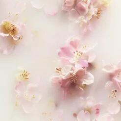 RITUALS The Ritual Of Sakura Recovery Hand Balm - 70 Ml -Verzorgingsproducten Verkoop 1200x1200 285