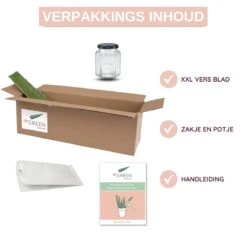 Dr. Green® 1x- Aloë Vera Blad - MAAK GEL IN 3 MINUTEN - 100% Puur - Biologisch -Verzorgingsproducten Verkoop 1200x1200 473