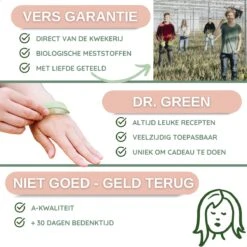 Dr. Green® 1x- Aloë Vera Blad - MAAK GEL IN 3 MINUTEN - 100% Puur - Biologisch -Verzorgingsproducten Verkoop 1200x1200 477