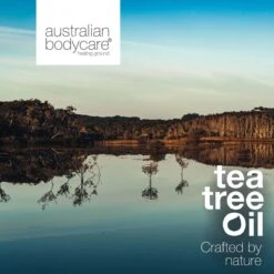 Australian Bodycare Body Cream 100 Ml - Intensieve Vochtinbrengende Crème Voor Zeer Droge & Beschadigde Huid - Met Actieve Ingrediënten Tea Tree Om De Natuurlijke Bacterieflora In Balans Te Houden En Toverhazelaar Voor Hydratatie Van De Huid -Verzorgingsproducten Verkoop 1200x1200 526