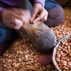 Merkloos Biologische Arganolie Uit Marokko 100 Ml - 100% Puur, Koudgeperst - Voor De Huid, Haar, Nagels - Boordevol Vitamine E, Essentiële Vetzuren En Antioxidanten 6 Merkloos Biologische Arganolie Uit Marokko 100 Ml - 100% Puur, Koudgeperst - Voor De Huid, Haar, Nagels - Boordevol Vitamine E, Essentiële Vetzuren En Antioxidanten -Verzorgingsproducten Verkoop 1200x1200 661