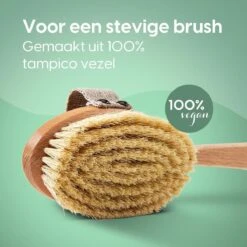 100% Vegan Lichaamsborstel Met Lange Afneembare Steel - Rugborstel/Badborstel/Doucheborstel - Dry Brushing Huidborstel - Droogborstel - Douche -Verzorgingsproducten Verkoop 1200x1200 805