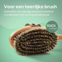100% Natuurlijke Lichaamsborstel Met Lange Afneembare Steel - Rugborstel Badborstel Doucheborstel - Dry Brushing Huidborstel - Droogborstel - Douche 15 100% Natuurlijke Lichaamsborstel Met Lange Afneembare Steel - Rugborstel Badborstel Doucheborstel - Dry Brushing Huidborstel - Droogborstel - Douche -Verzorgingsproducten Verkoop 1200x1200 826