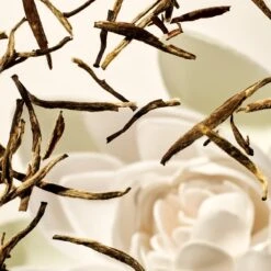 RITUALS The Ritual Of Karma Shower Foam Value Pack (3 Stuks) -Verzorgingsproducten Verkoop 1200x1200 965