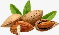 Amandelolie 100ml | 100% Puur & Onbewerkt | Koudgeperste Zoete Amandel Olie Voor Haar, Huid En Lichaam 11 Amandelolie 100ml | 100% Puur & Onbewerkt | Koudgeperste Zoete Amandel Olie Voor Haar, Huid En Lichaam -Verzorgingsproducten Verkoop 1200x723