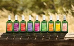 Weleda Lavendel Ontspannende Body Olie -Verzorgingsproducten Verkoop 1200x758 2