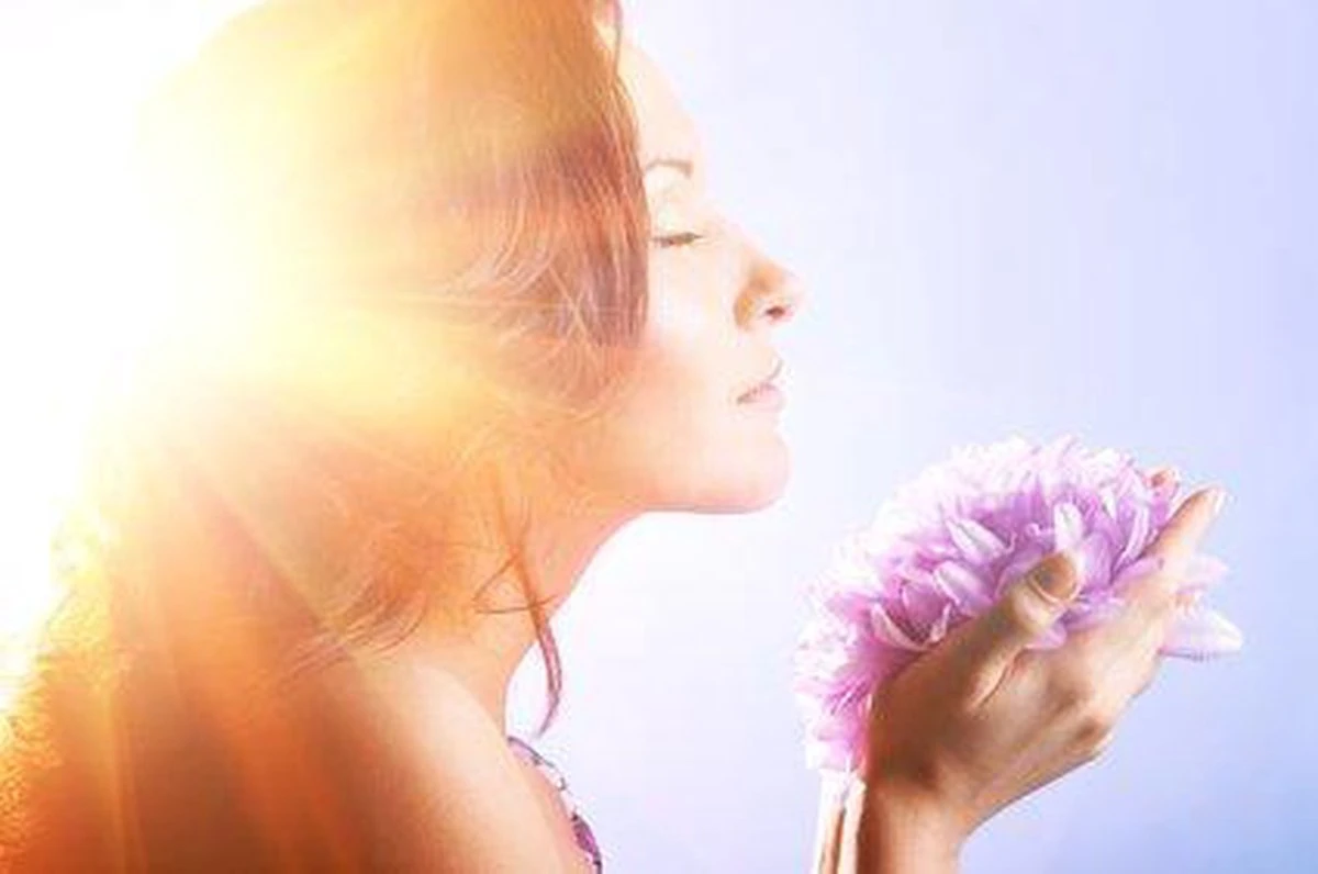 PEDICARE ONS TOPPRODUCT TEGEN ZWEETVOETEN En Eeltvoeten! 7 PEDICARE ONS TOPPRODUCT TEGEN ZWEETVOETEN En Eeltvoeten! - Afbeelding 5