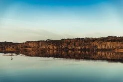 Australian Bodycare Body Treatment - 3 Producten Tegen Puistjes, Een Onzuivere Huid En Mee–eters Op De Rug En Billen Gebaseerd Op Tea Tree Olie - Bevat Douchegel En Peeling Om Je Huid Te Reinigen En Bodylotion Om Je Huid Te Hydrateren En Verzorgen 9 Australian Bodycare Body Treatment - 3 Producten Tegen Puistjes, Een Onzuivere Huid En Mee–eters Op De Rug En Billen Gebaseerd Op Tea Tree Olie - Bevat Douchegel En Peeling Om Je Huid Te Reinigen En Bodylotion Om Je Huid Te Hydrateren En Verzorgen -Verzorgingsproducten Verkoop 1200x800 7