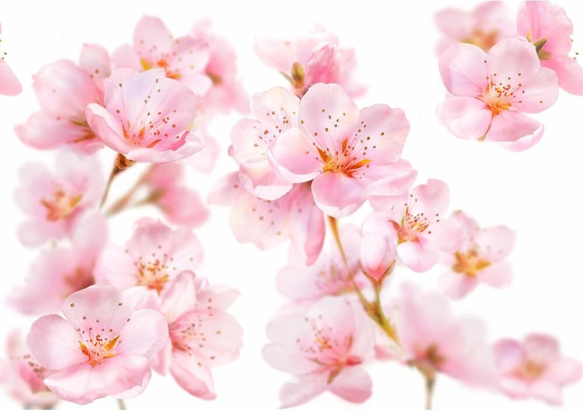 Kneipp Soft Skin - Sugar & Oil Body Scrub 9 Kneipp Soft Skin - Sugar & Oil Body Scrub - Afbeelding 7