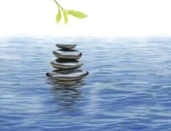 Kneipp Me-Time - Douchegel -Verzorgingsproducten Verkoop 1200x921 4