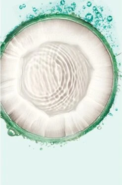 Garnier Fructis Compressed Droogshampoo Coco - 6 X 100 Ml -Verzorgingsproducten Verkoop 793x1200 3