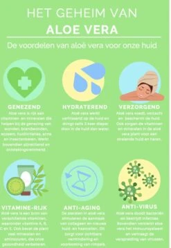 Aloeveco - Hydraterende Gel Van Aloe Vera - Genezende Huidverzorging - 99% Puur - Organic - 250 Ml -Verzorgingsproducten Verkoop 826x1200