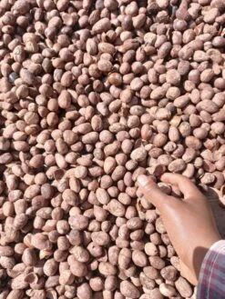 Whipped Unrefined Shea Butter - Biologisch Opgeklopte Ongeraffineerd Sheaboter Sheabutter 500 Ml 7 Whipped Unrefined Shea Butter - Biologisch Opgeklopte Ongeraffineerd Sheaboter Sheabutter 500 Ml -Verzorgingsproducten Verkoop 900x1200 5