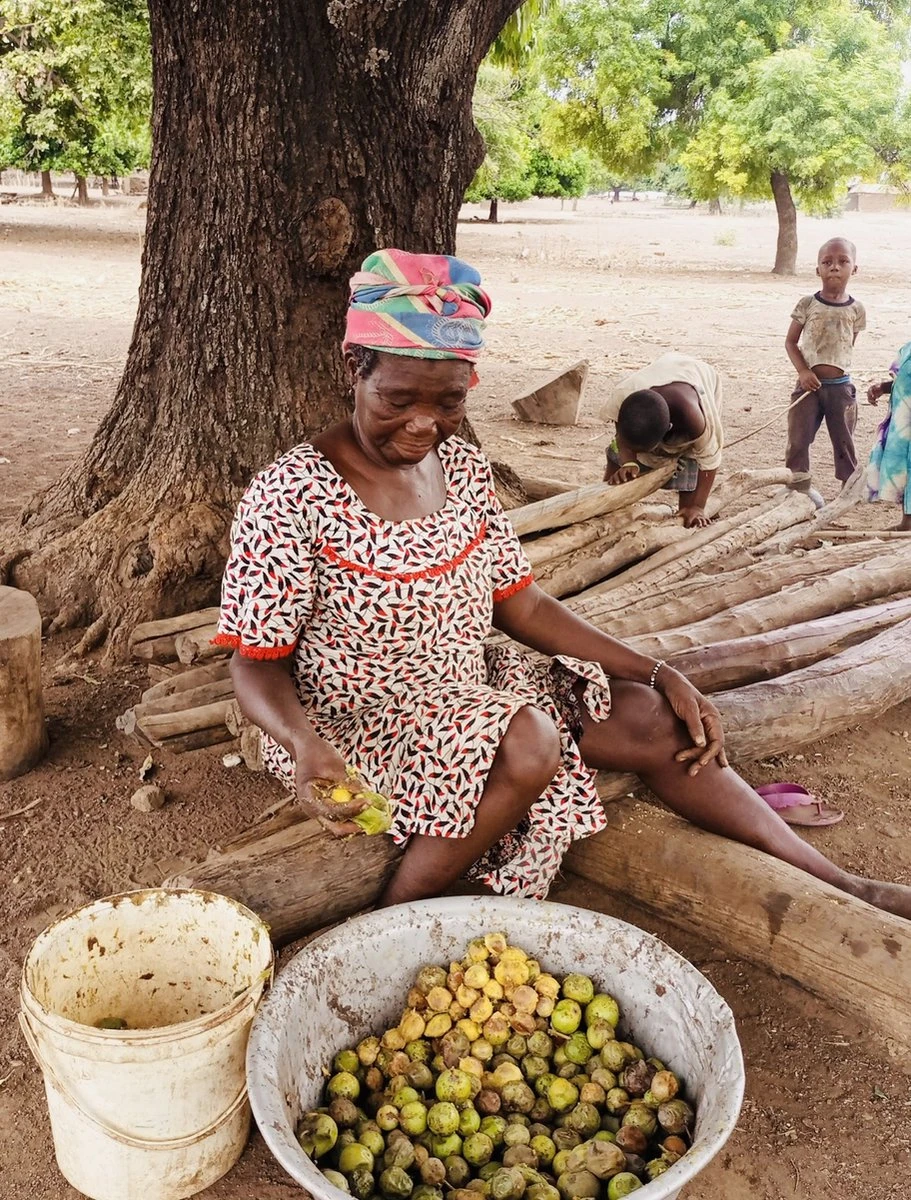 Whipped Unrefined Shea Butter - Biologisch Opgeklopte Ongeraffineerd Sheaboter Sheabutter 500 Ml 5 Whipped Unrefined Shea Butter - Biologisch Opgeklopte Ongeraffineerd Sheaboter Sheabutter 500 Ml - Afbeelding 3