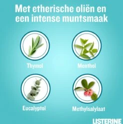 Listerine Cool Mint Mondwater, Mondspoeling Met Intens Frisse Muntsmaak, Bestrijdt Schadelijke Bacteriën Voor Gezond Tandvlees, 8 X 95 Ml 17 Listerine Cool Mint Mondwater, Mondspoeling Met Intens Frisse Muntsmaak, Bestrijdt Schadelijke Bacteriën Voor Gezond Tandvlees, 8 X 95 Ml -Verzorgingsproducten Verkoop 1194x1200 1