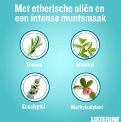 LISTERINE® Fresh Mint, Mondspoeling Met Essentiële Oliën Voor Een Langdurig Frisse Adem, 3x600ml -Verzorgingsproducten Verkoop 1196x1200 4