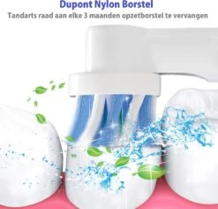ARENO® 8 Universele Opzetborstels - Geschikt Voor Oral-B En Braun -Verzorgingsproducten Verkoop 1200x1145 1