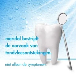 Meridol Mondwater Tandvlees - 2 X 400 Ml - Voordeelverpakking 14 Meridol Mondwater Tandvlees - 2 X 400 Ml - Voordeelverpakking -Verzorgingsproducten Verkoop 1200x1200 112