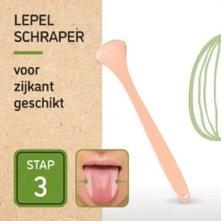 Nutty Green 3-Delige Tongschraper Set Inclusief Opbergcase - Tongreiniging Mondverzorging - Tongreiniger Mondhygiëne - RVS Schraper Voor Schone Tong Reiniging - Tongborstel Tegen Slechte Adem - Zero Waste Lifestyle -Verzorgingsproducten Verkoop 1200x1200 346
