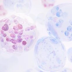 NIVEA CELLular Hyaluron Filler Anti-Age Serum - 40 Ml -Verzorgingsproducten Verkoop 1200x1200 617