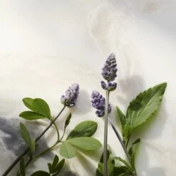 RITUALS The Ritual Of Namaste Glow Anti-Ageing Serum Refill - 30 Ml -Verzorgingsproducten Verkoop 1200x1200 660