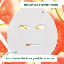 Garnier SkinActive Ampul Sheet Mask Met Watermeloen & Hyaluronzuur Gezichtsmasker - 5 Stuks -Verzorgingsproducten Verkoop 1200x1200 843