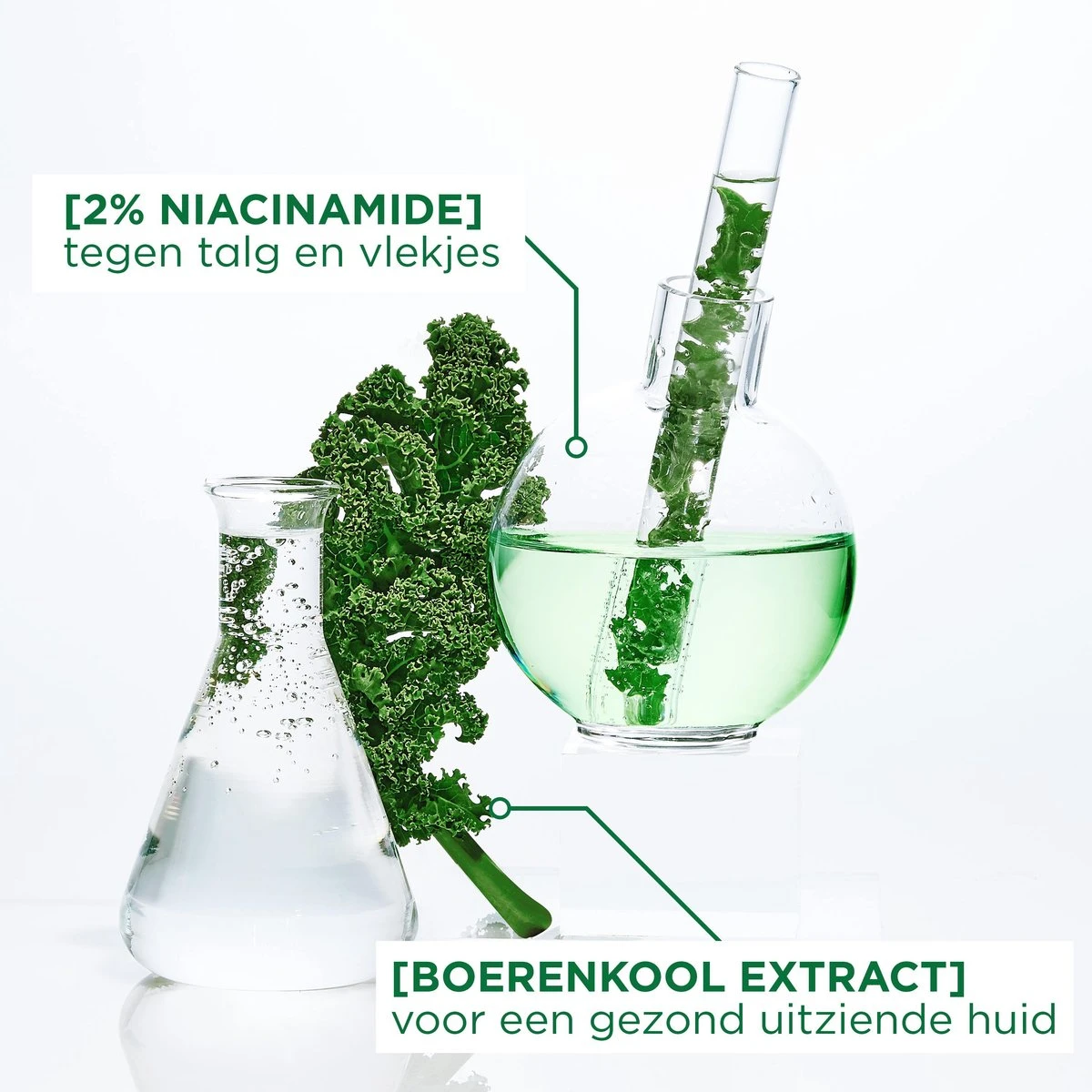 Garnier SkinActive Ampul Sheet Mask Met Boerenkool & Niacinamide - 5 Stuks 4 Garnier SkinActive Ampul Sheet Mask Met Boerenkool & Niacinamide - 5 Stuks - Afbeelding 2