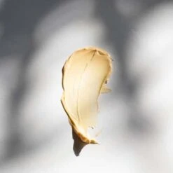 Dermalogica Multivitamin Power Recovery Gezichtsmasker - 75 Ml 15 Dermalogica Multivitamin Power Recovery Gezichtsmasker - 75 Ml -Verzorgingsproducten Verkoop 1200x1200 877