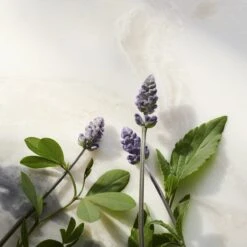 RITUALS The Ritual Of Namaste Glow Anti-Ageing Night Cream Refill - 50 Ml 15 RITUALS The Ritual Of Namaste Glow Anti-Ageing Night Cream Refill - 50 Ml -Verzorgingsproducten Verkoop 1200x1200 916