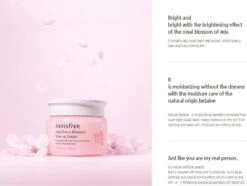 Innisfree Jeju Cherry Blossom Tone Up Cream 50 Ml -Verzorgingsproducten Verkoop 1200x905 1