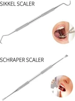 Newide Professionele Tandarts Set Met Luxe Etui – Tandsteen Verwijderaar – RVS Tandarts Setje – Tandenstokers – Tandartshaakje – Tand Verzorging Gereedschap Set – Tandplak Verwijderaar -Verzorgingsproducten Verkoop 889x1200